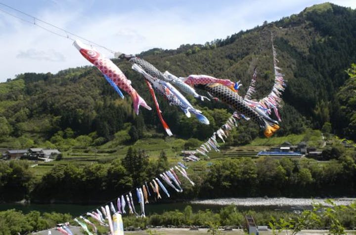 【2021年中止】こいのぼりの川渡し