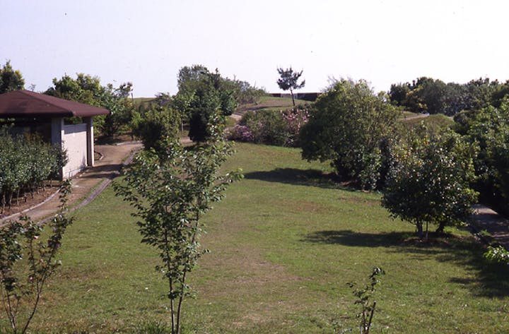 樫西キャンプ場