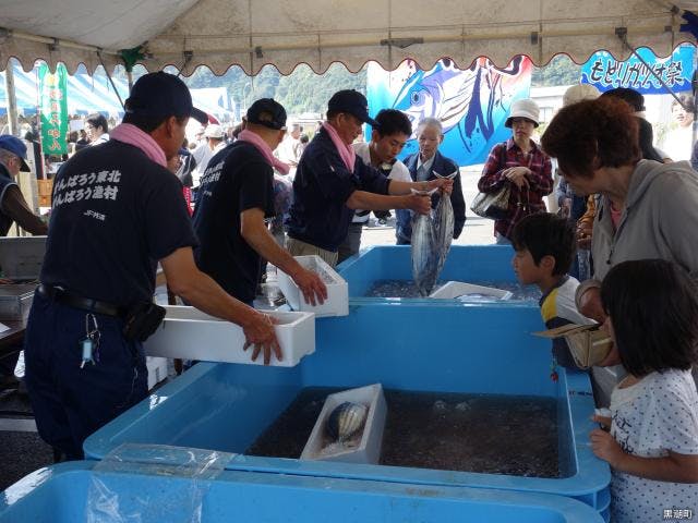 【2021年中止】土佐さがのもどりガツオ祭