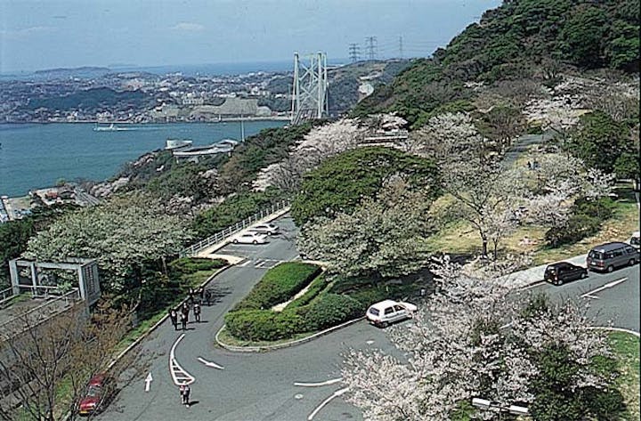 めかり公園の桜