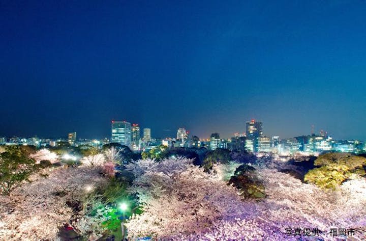 【2021年イベント中止、オンライン配信あり】福岡城さくらまつり