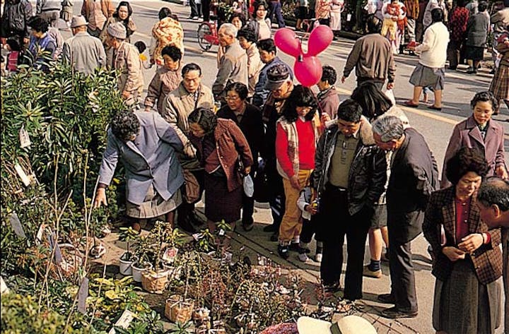 【2021年延期】三池初市