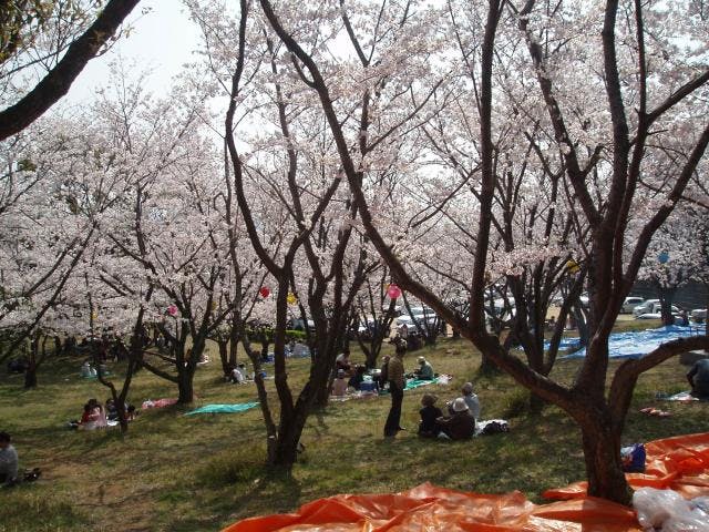 甘木山自然遊歩道