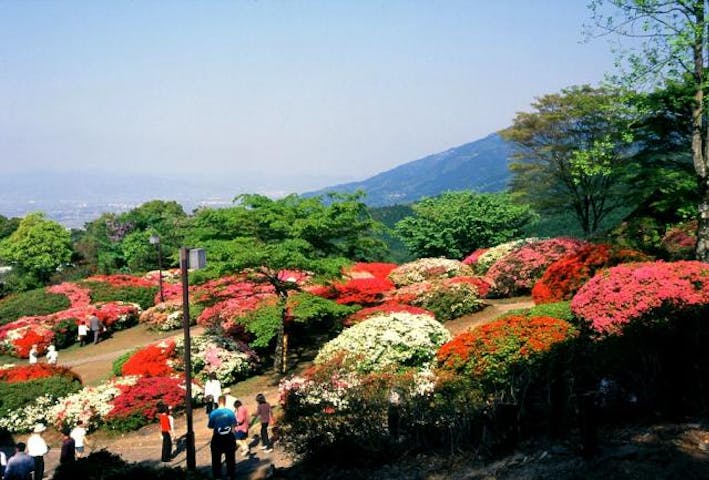 久留米森林つつじ公園