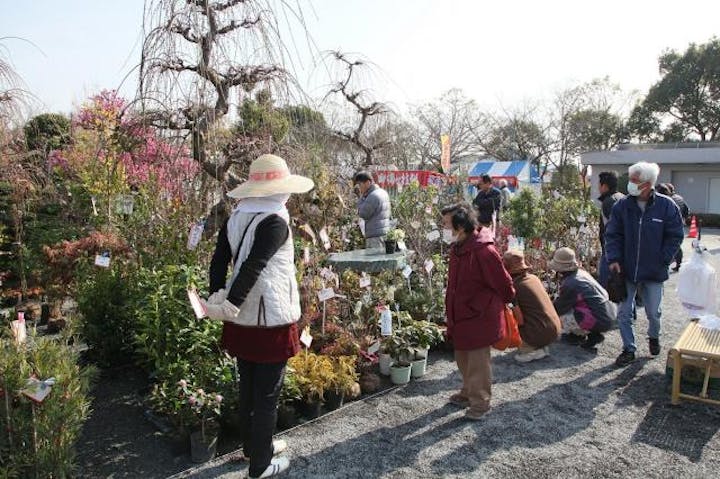 第16回久留米植木まつり