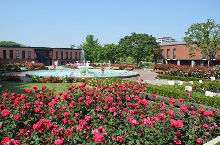 石橋文化センター春のバラフェア2021