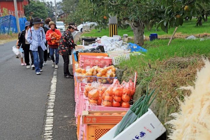 【中止】来て見てん山苞の道