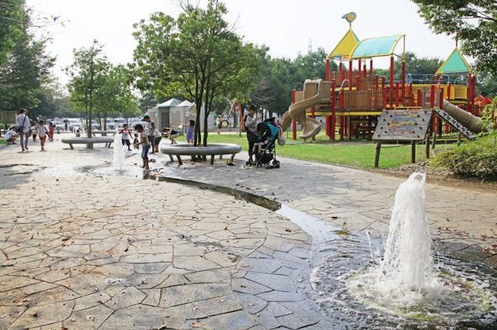 水沼の里2000年記念の森