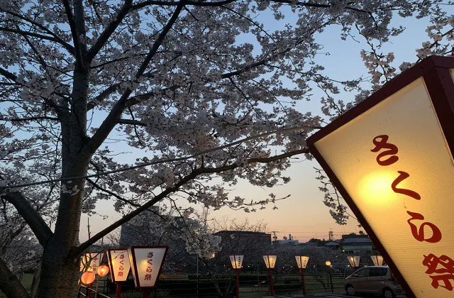 福岡 夜 遊ぶ の遊び 体験 アソビュー