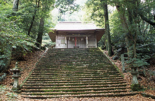 スポットの写真