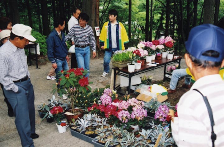 シャクナゲ祭り