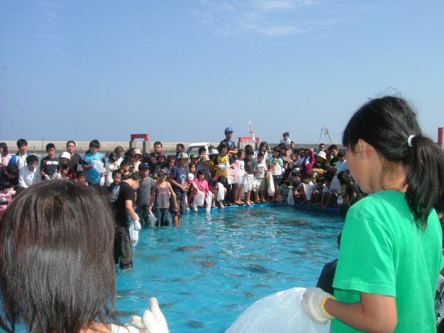 うみてらす豊前 鮮魚まつり