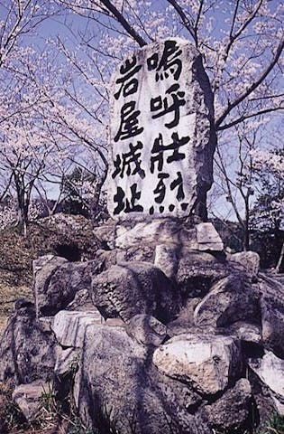 岩屋城跡の桜