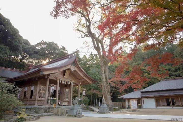 宝満宮　竈門神社