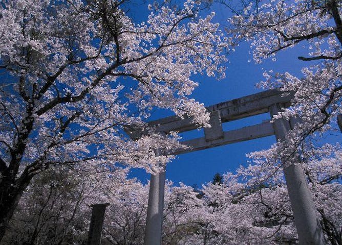 春の縁結び大祭