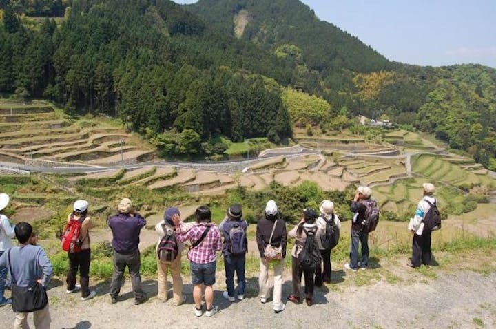 ゆる〜っと、ほっこり。森林セラピー