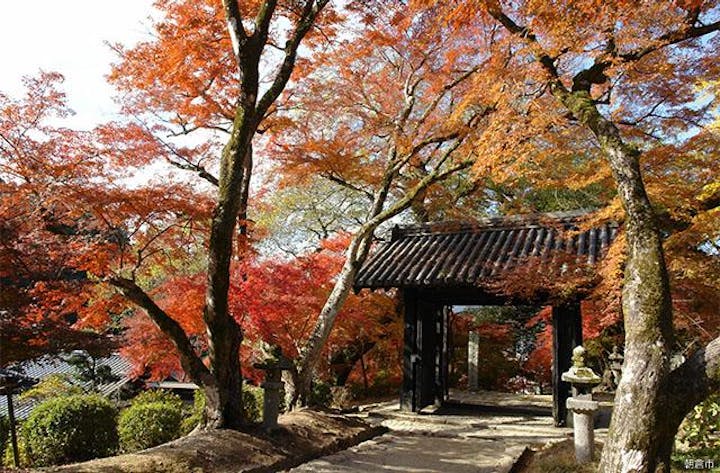 秋月黒門周辺の紅葉