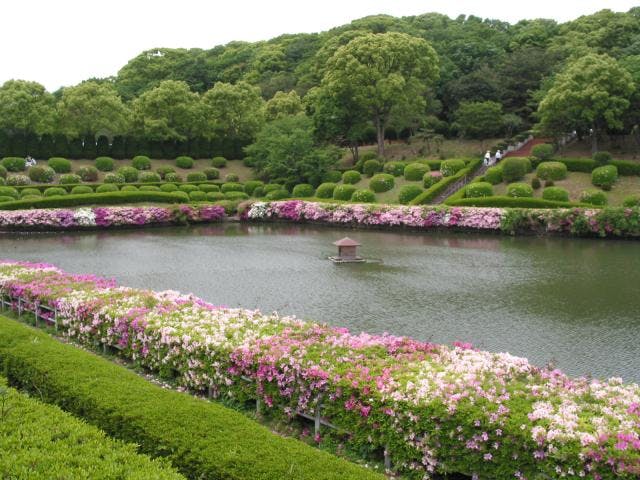 スポットの写真