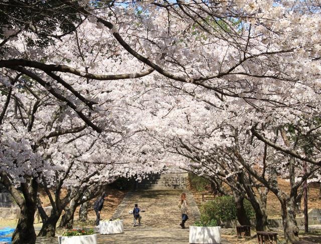 スポットの写真