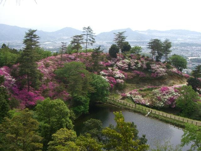 須恵町立皿山公園