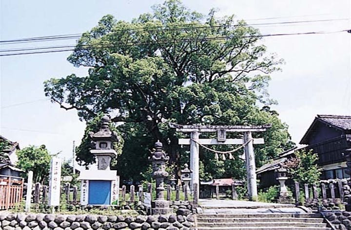 津江神社の樟