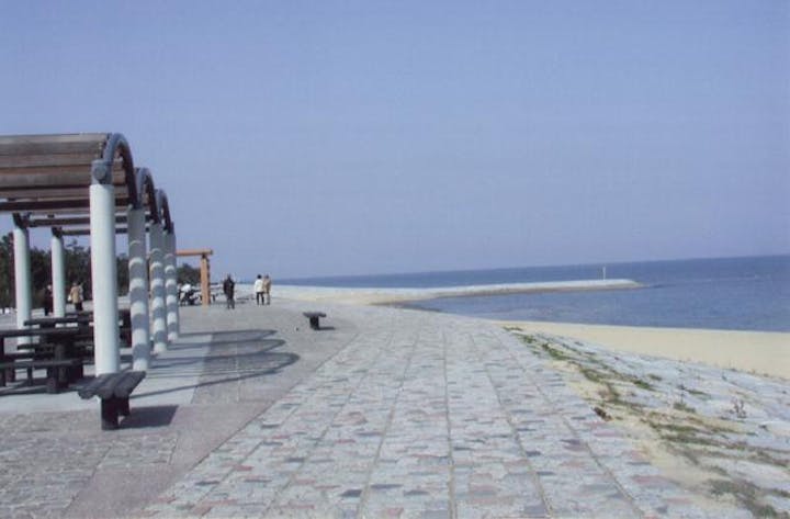 浜の宮海岸潮干狩