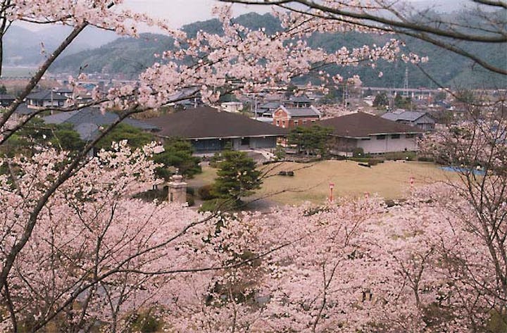 西渓公園のツツジ・桜