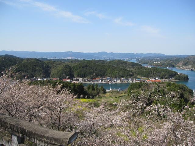 高尾山公園の桜