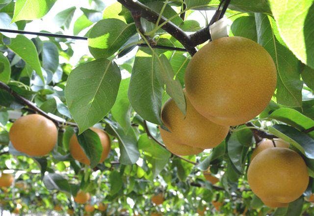 スポットの写真