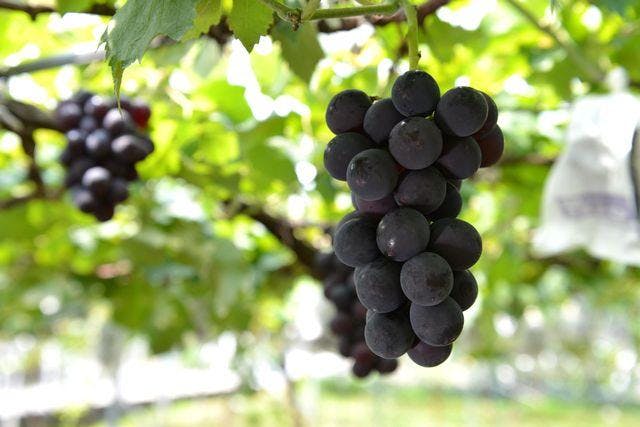 スポットの写真