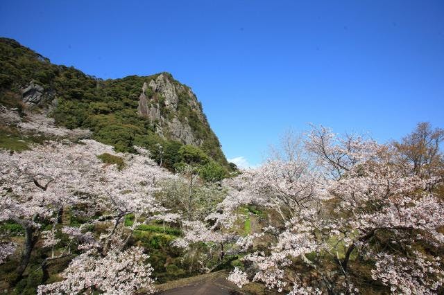 スポットの写真