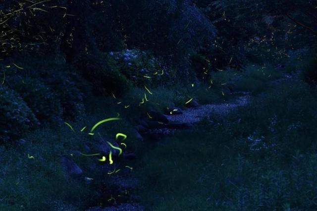 スポットの写真