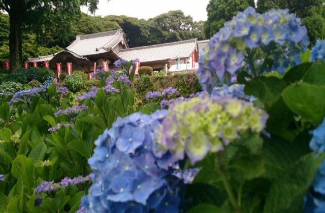 スポットの写真