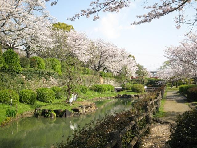 旭ケ岡公園