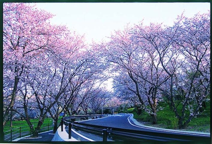 陽だまりの丘公園