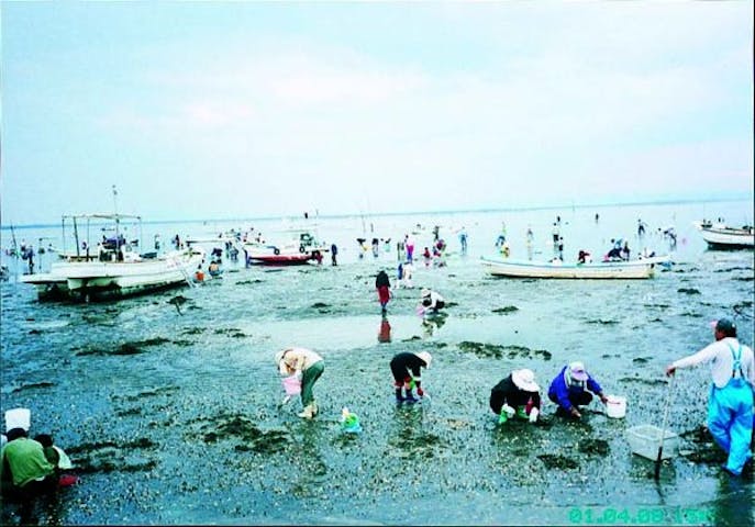 有明海観光遊漁船