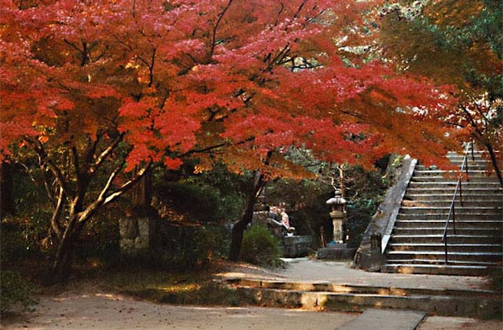水上不動尊（万寿寺）