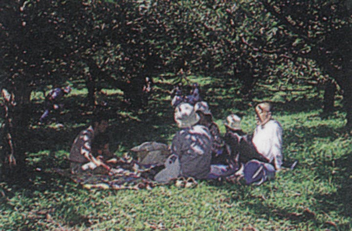 井手野観光栗園