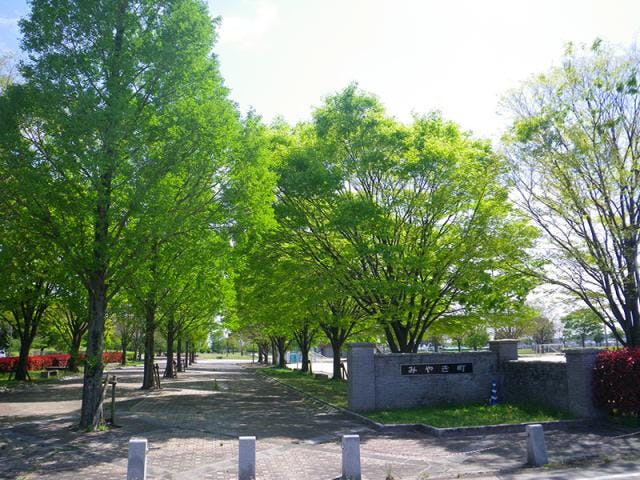 中原公園
