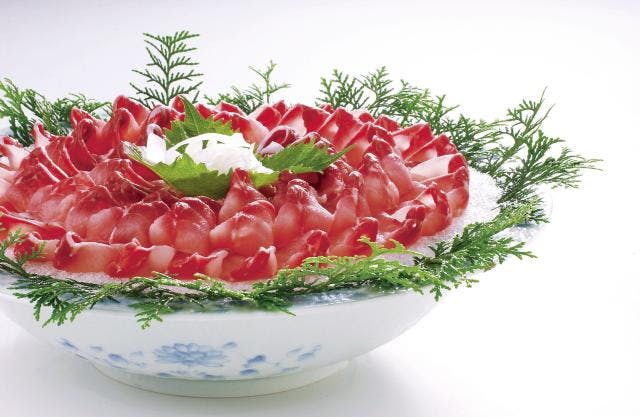 スポットの写真