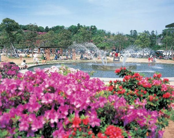 稲佐山公園のツツジ・サツキ