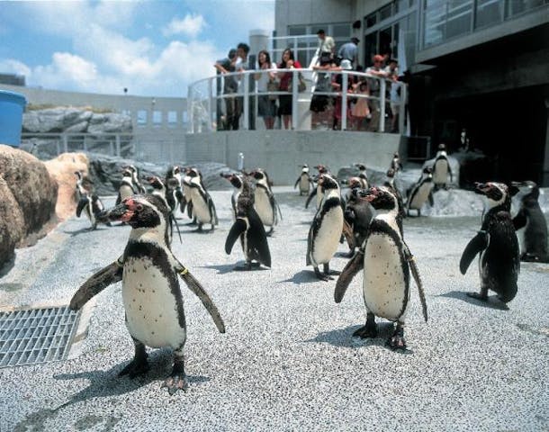 長崎ペンギン水族館