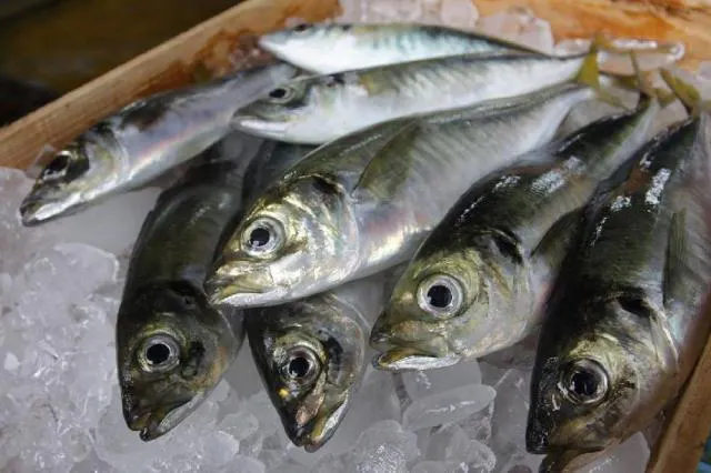 スポットの写真