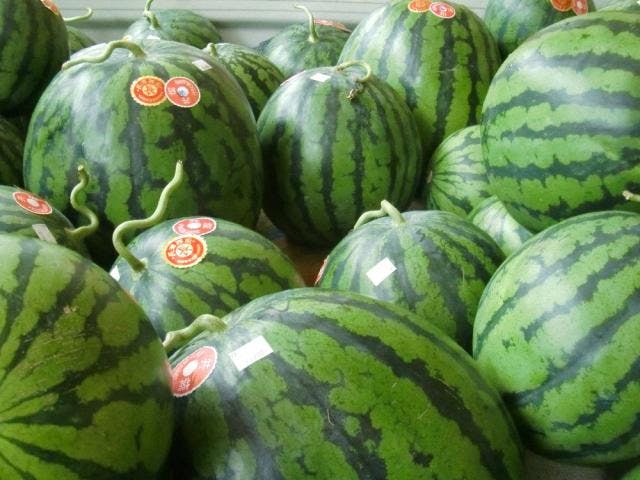 スポットの写真