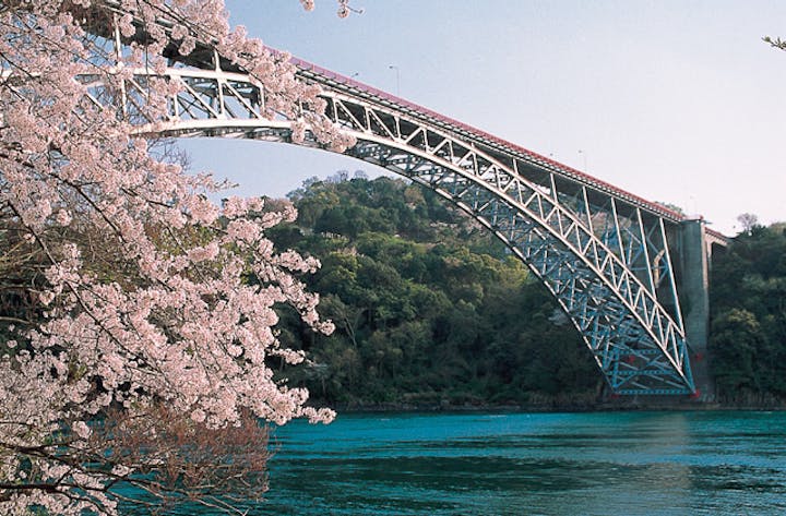 西海橋のソメイヨシノ