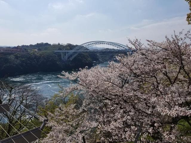 西海橋春のうず潮まつり