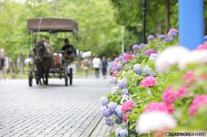 ハウステンボス「あじさい祭」