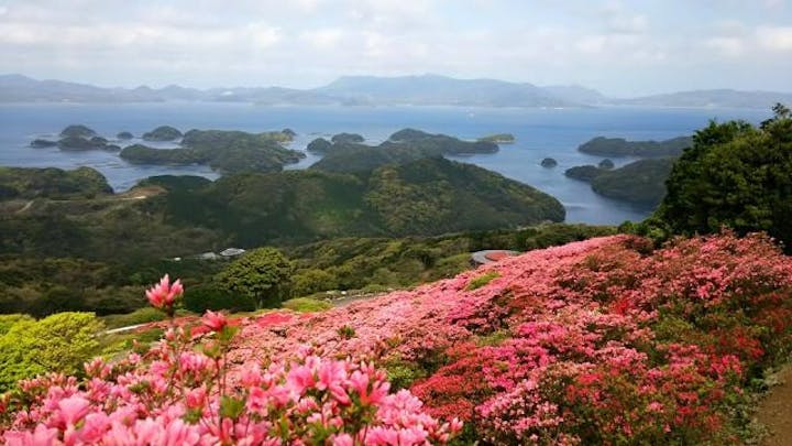 長串山のツツジ公園