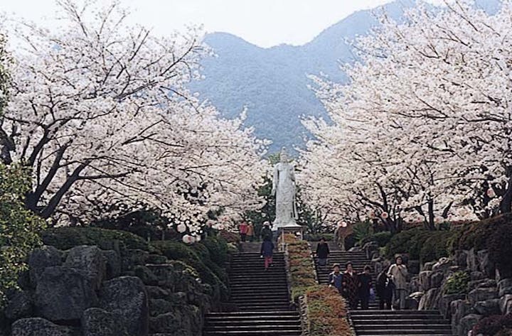 眉山治山祈念公苑の桜 アソビュー