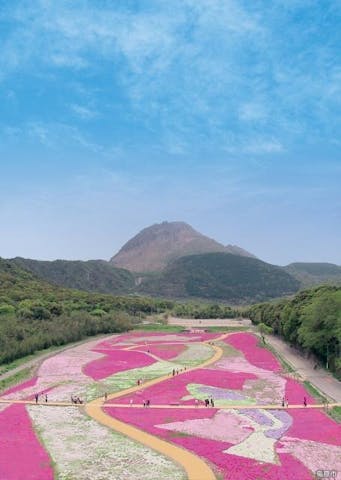 しまばら火張山花公園　春の花まつり